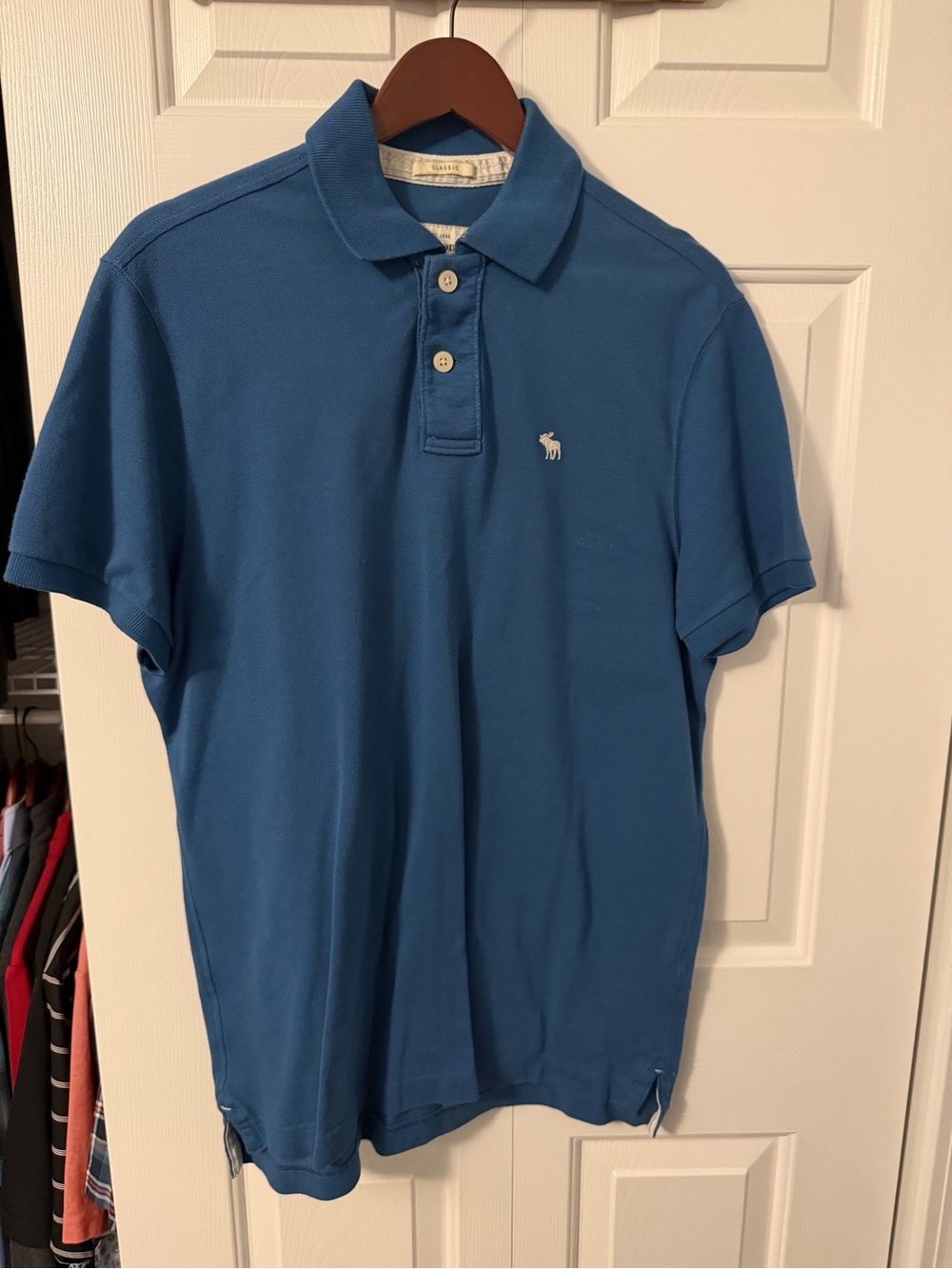 Abercrombie & Fitch Teal-Blue Men's Polo Shirt